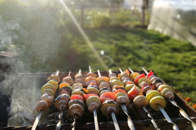    Где и как можно жарить шашлыки в 2023 году?