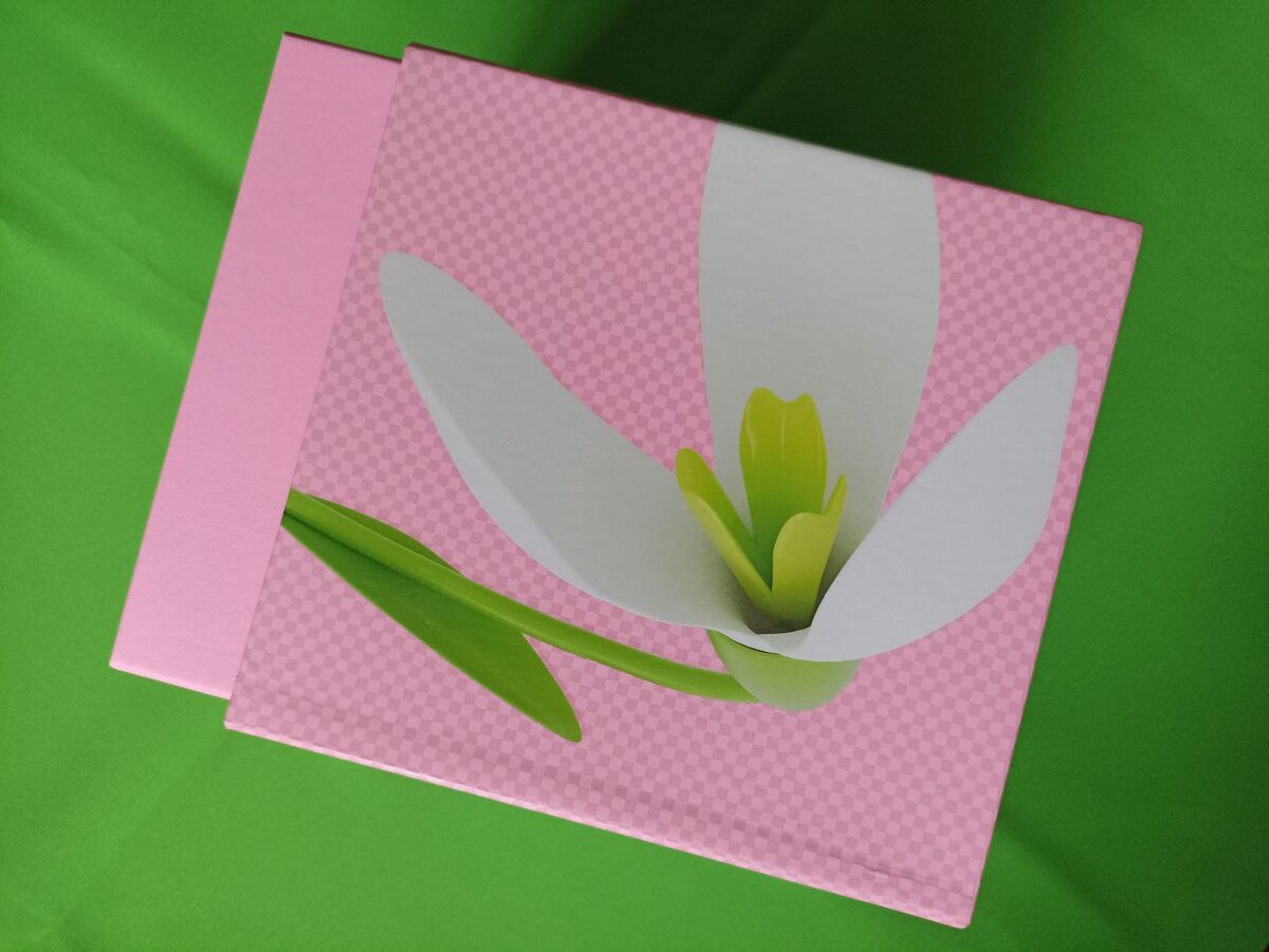 Подснежник на пиксельно-розовом фоне.