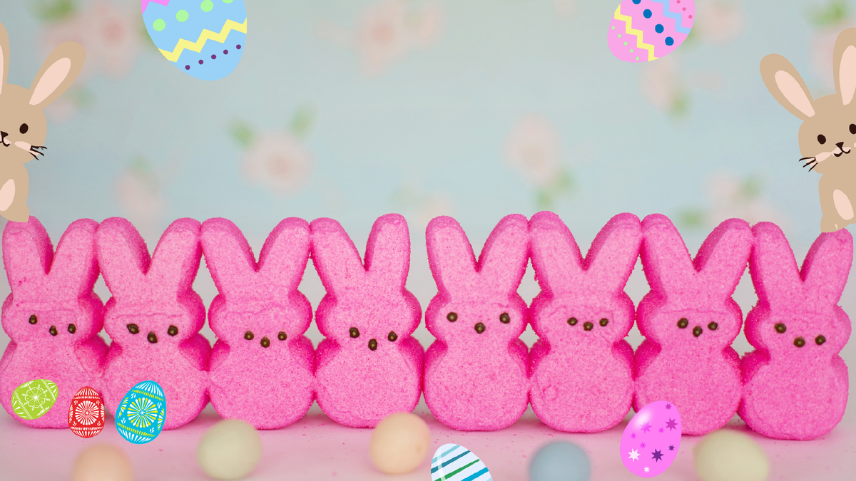 Фото сделано в программе Canva