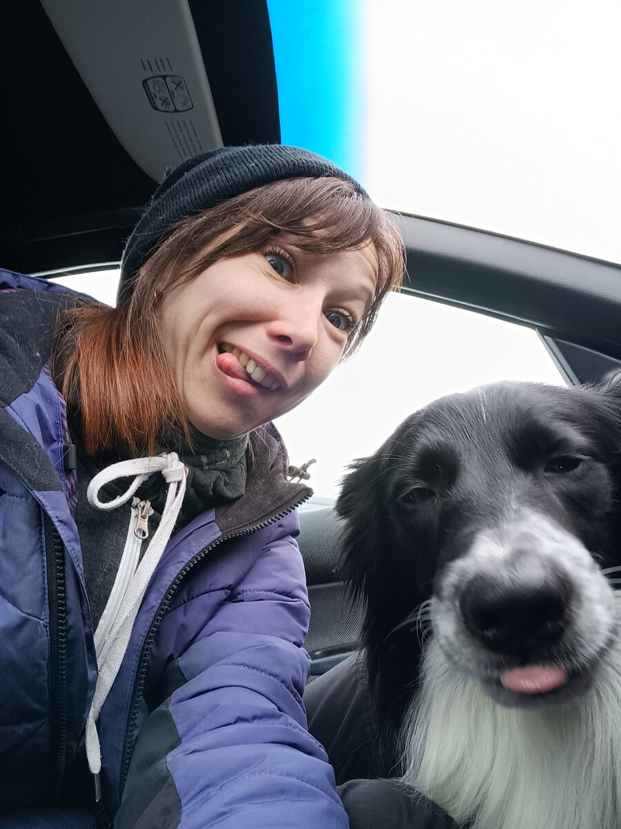 Химик и "Покажи язык" 