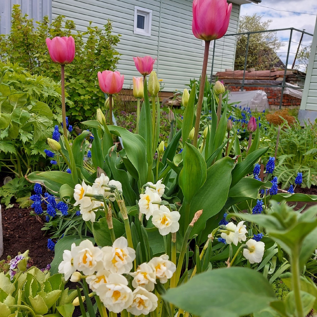 Фото автора