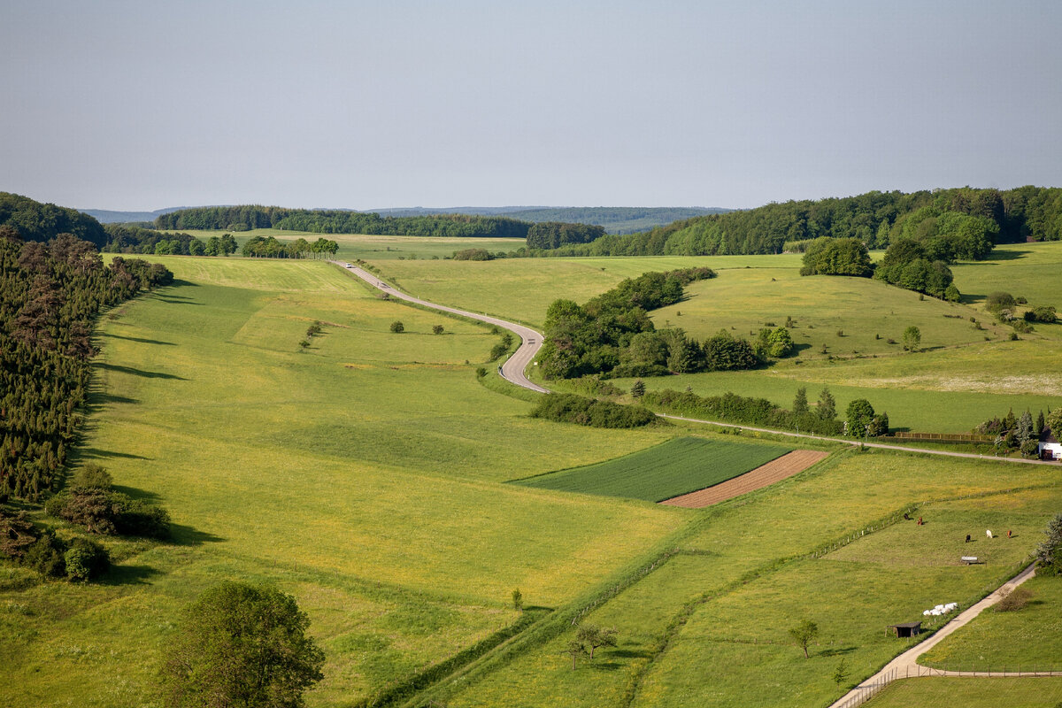 Картинка: <a href="https://ru.freepik.com/free-photo/aerial-shot-of-farmland-under-the-clear-sky-in-the-eifel-region-germany_11942781.htm#page=2&query=%D0%BF%D0%BE%D0%BB%D1%8F&position=25&from_view=search&track=sph">Изображение от wirestock</a> на Freepik