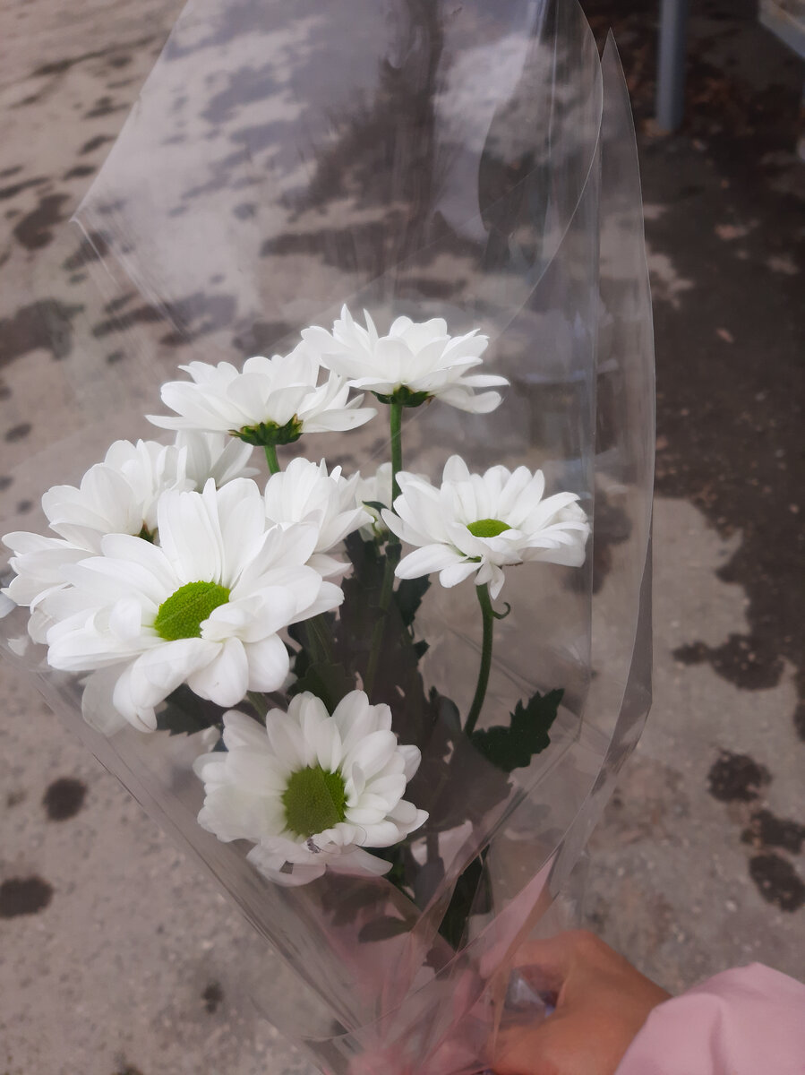 Просто цветы 