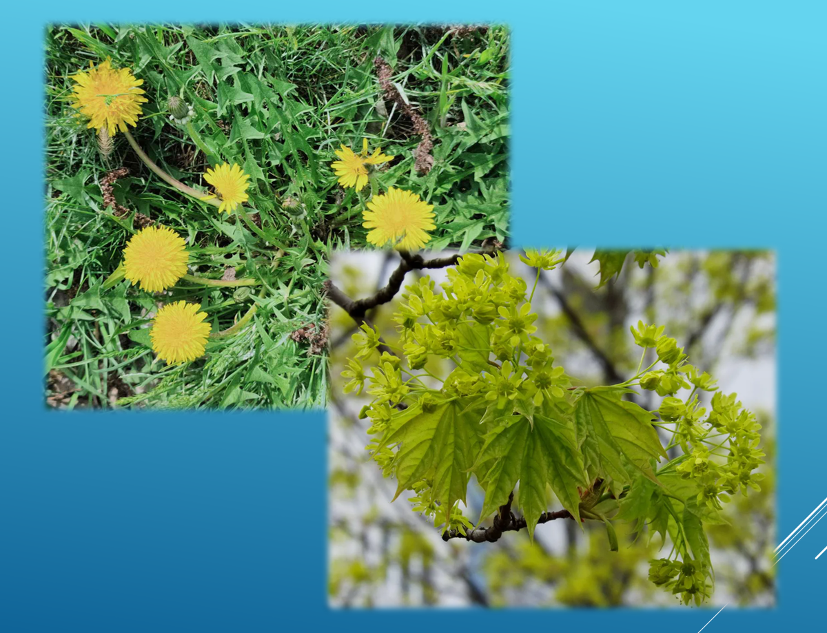 Фото сделаны 5 апреля 2023 года в Волгограде