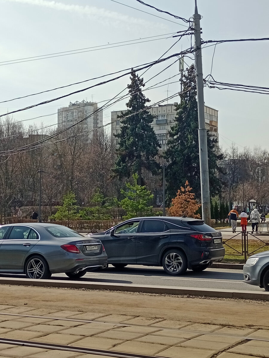 Ждём трамвая, смотрим на ёлочки на Черноморском бульваре