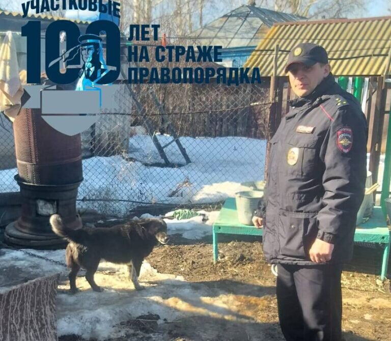    В Пономаревском районе собака сорвалась с цепи и укусила ребенка Белов Михаил Александрович