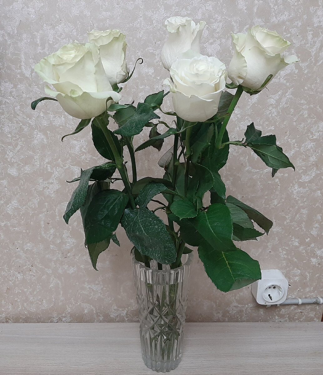 Розы от подруги