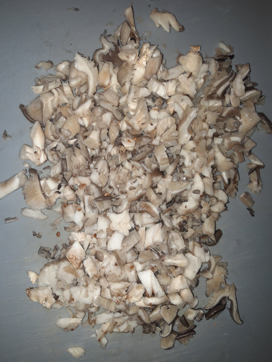 Я использовал Вешенки