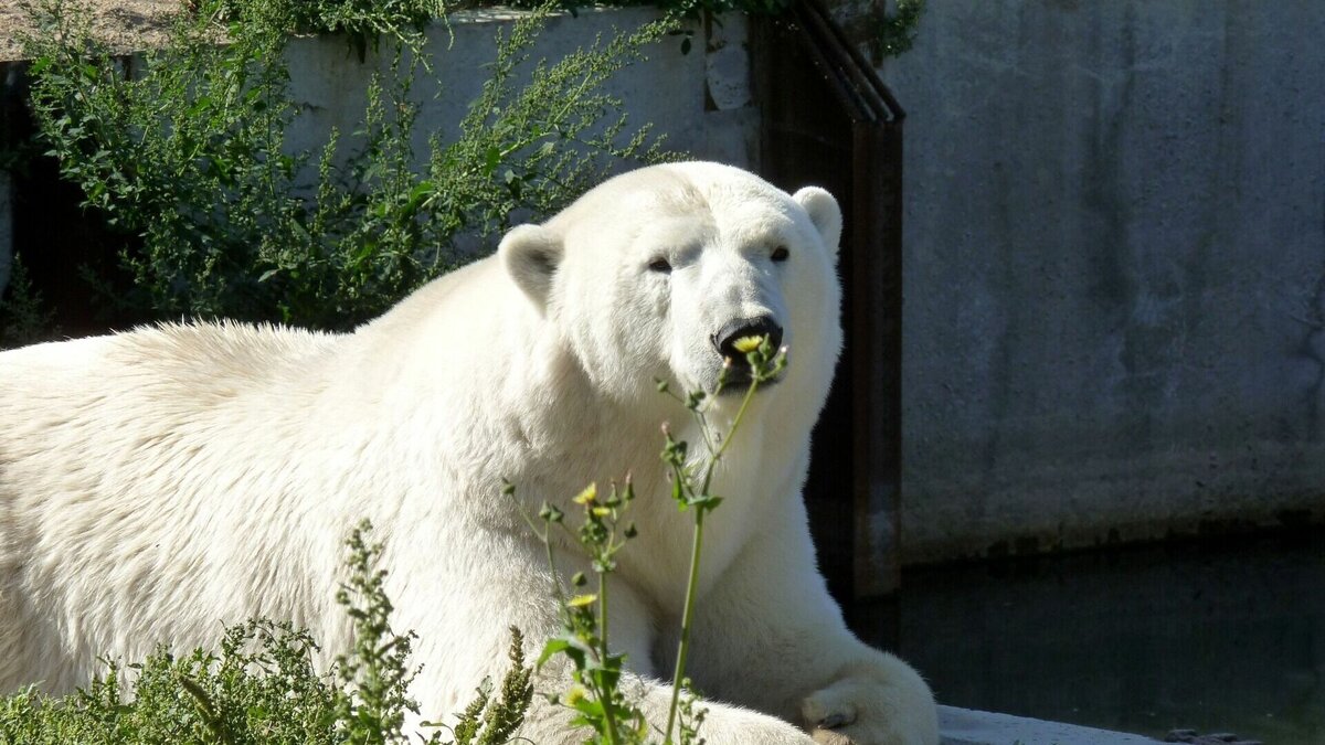     Информация появилась в социальных сетях.