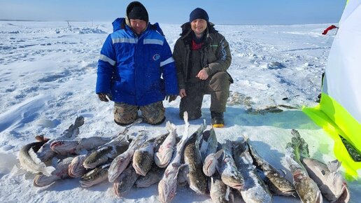 Ловля налима зимой: Секреты зимней рыбалки на налима на закидушки или жерлицы