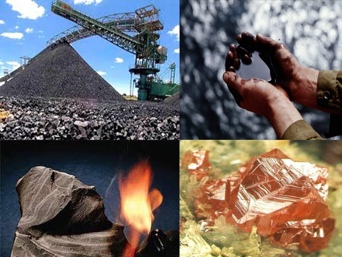 природные ресурсы