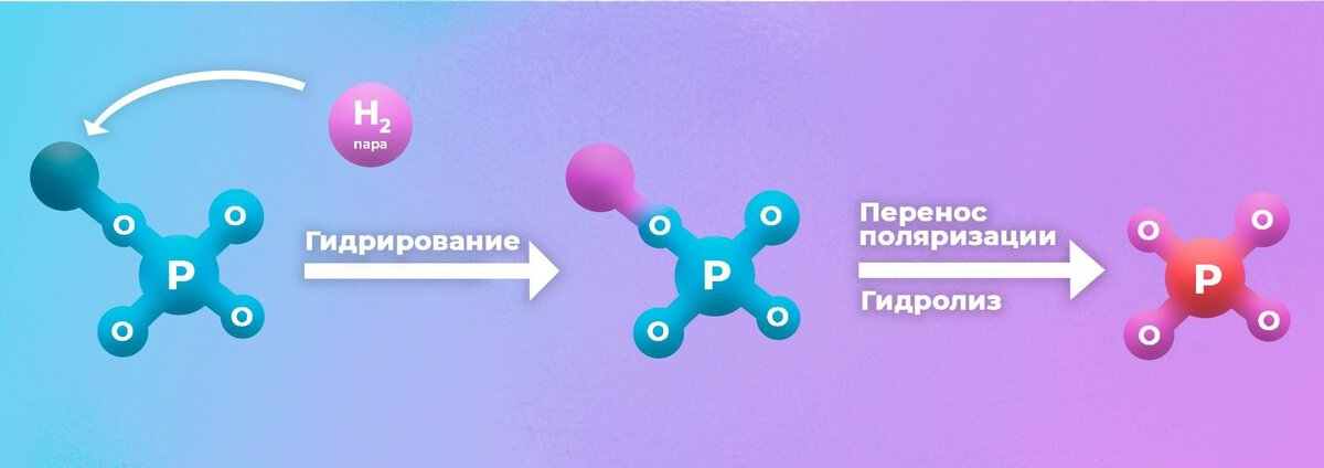 Иллюстрация схемы переноса гиперполяризации на фосфорсодержащую часть молекулы. Источник: Валентин Новиков