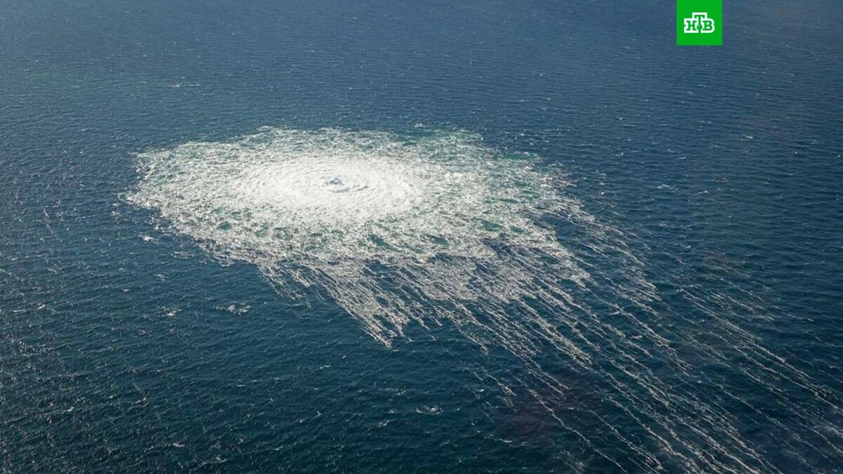    Фото: РИА Новости © 2023