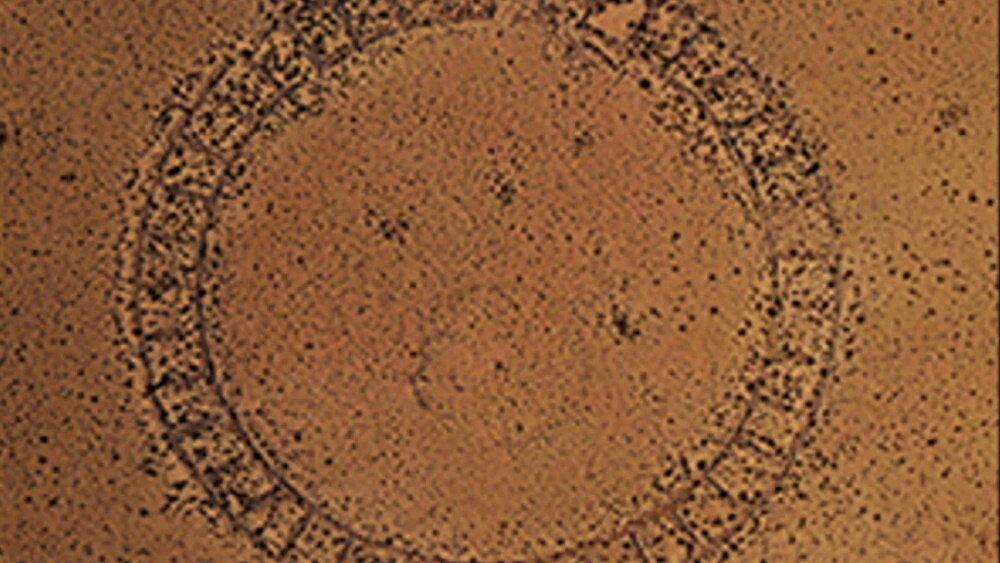    Фото: Cruz et al./Antiquity, 2023