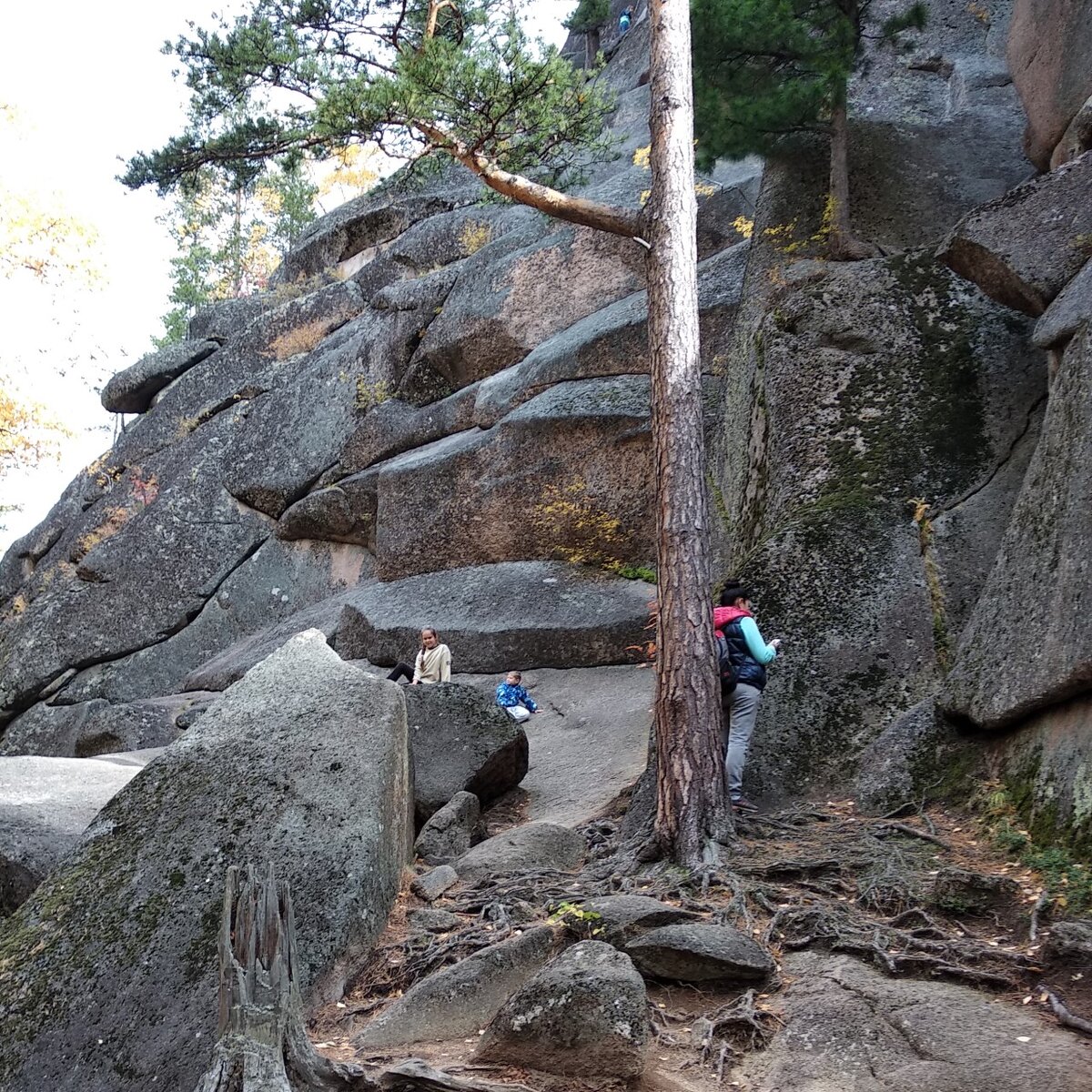     После установки оборудования сотовая связь будет ловить во всей рекреационной зоне