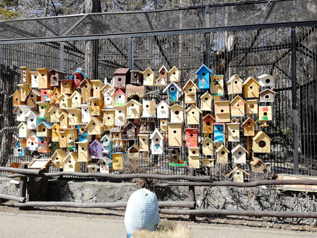 Конкурс скворечников. 