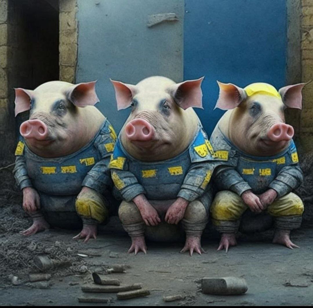 Картинка заимствована из тг-канала *изнанка*. Прошу обратить особое внимание на петушиные ноги и обрезанные уши хряков!