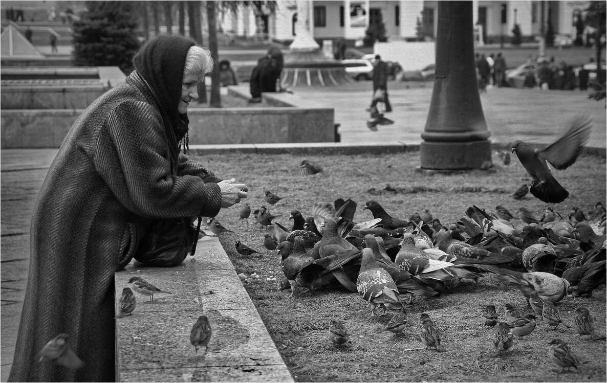 фото В.М. Гончаренко