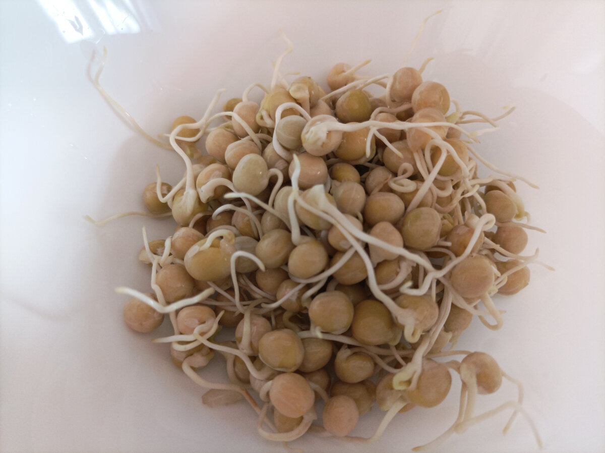 Горошек в тарелке