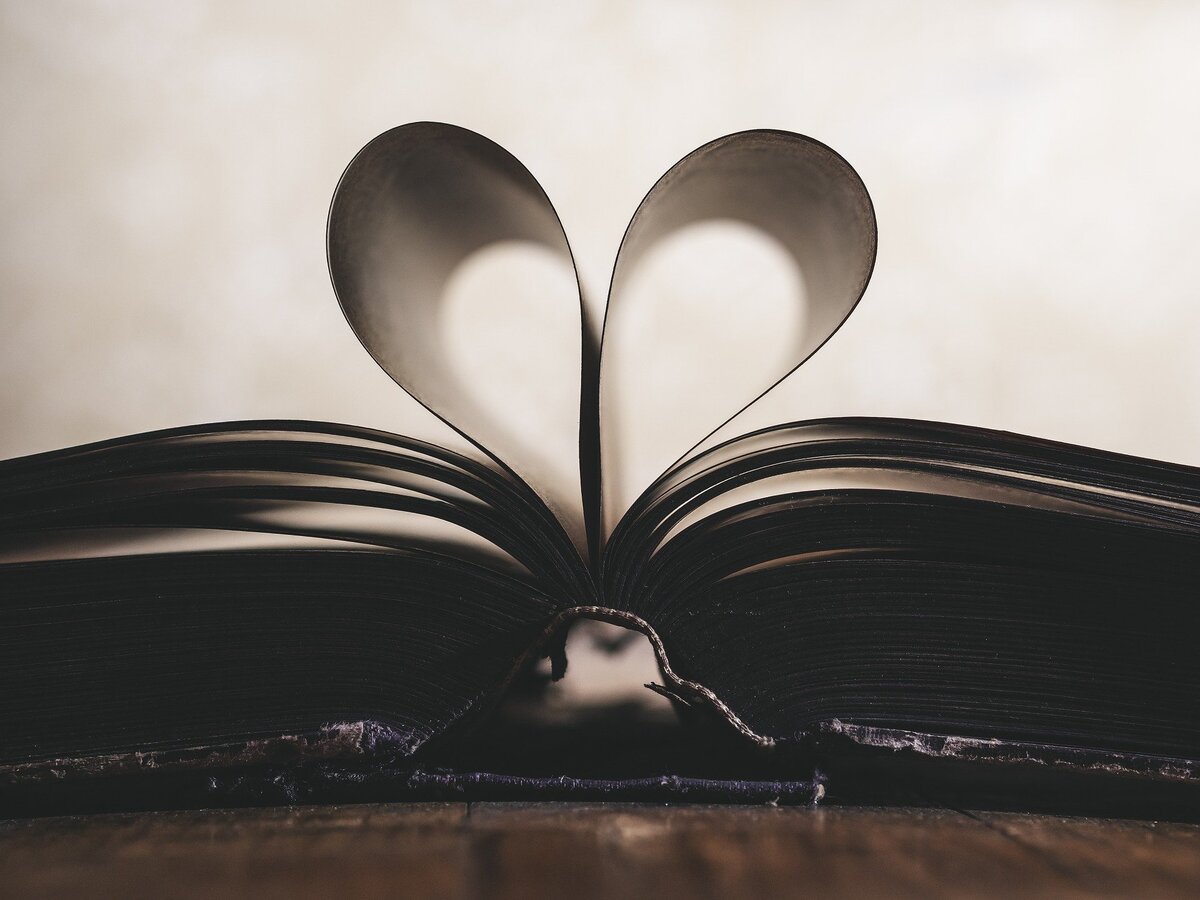 Любимая книга и любимые фильмы снятые по этой книге