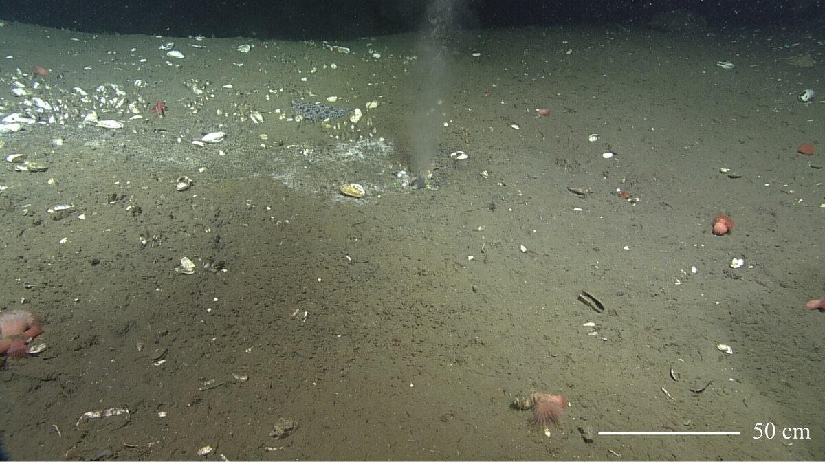 Фото: livescience.com