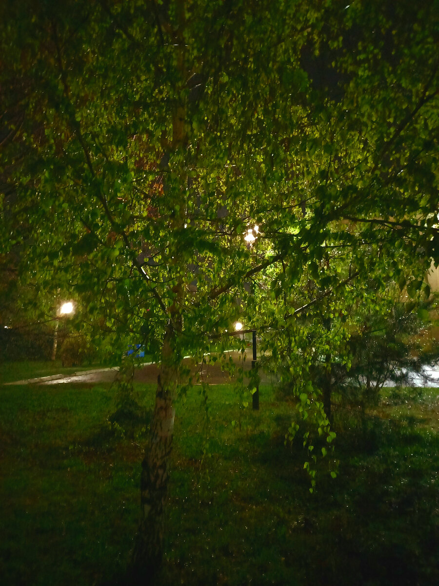 Фото автора. 