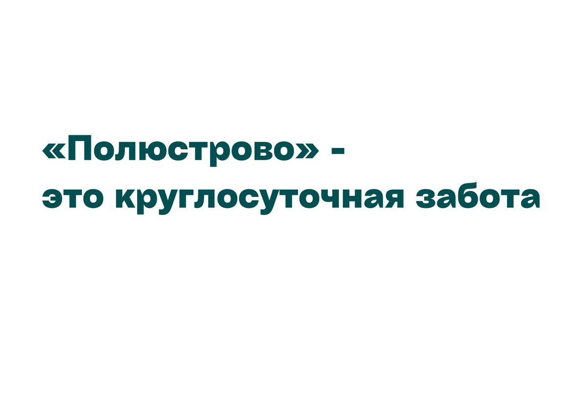 Как белочки и печеньки повышают продуктивность работы в офисе | Теорема |  Дзен