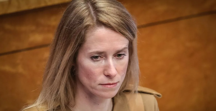 Кая Каллас крепко задумалась когда узнала о российских ракетных комплексах (фото с сайта rus.uudis.net)