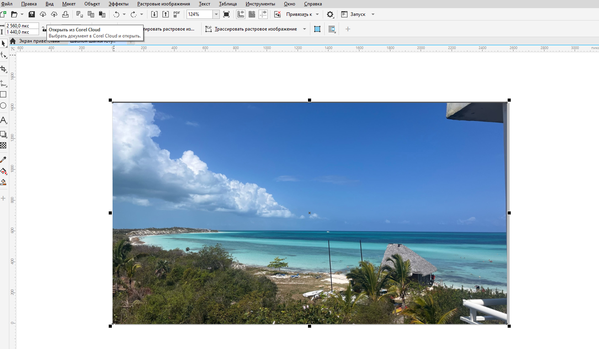 На скрине шаблон с разметкой я переместил на задний план