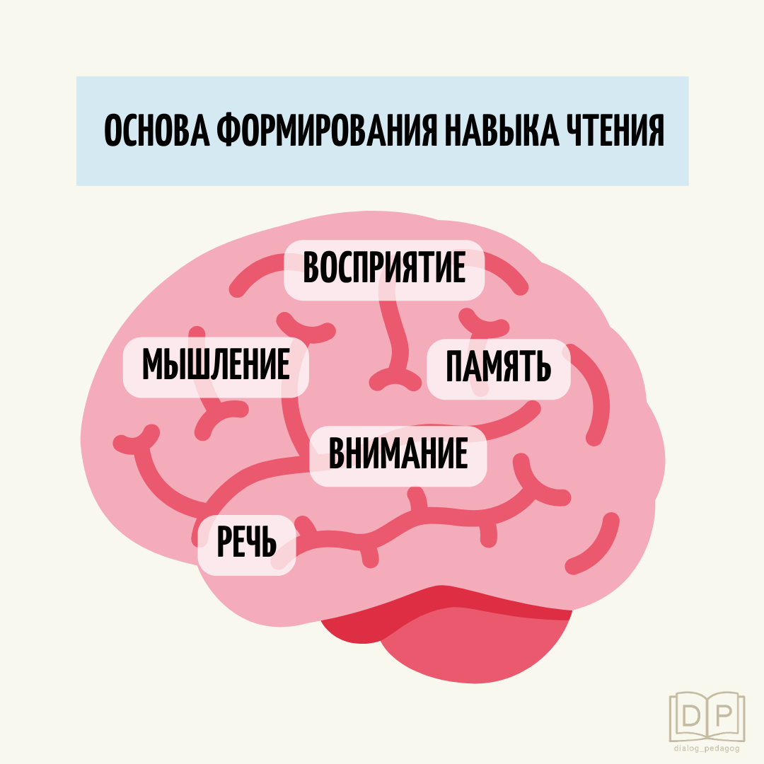 Ошибки при обучении чтению. Последствия при письме (мой опыт) | Диалог с  педагогом. Репетитор. Нейрогимнастика | Дзен