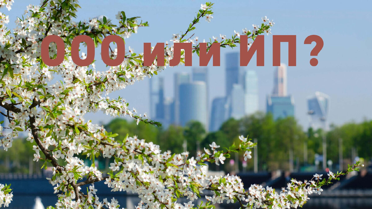 Что лучше ООО или ИП?