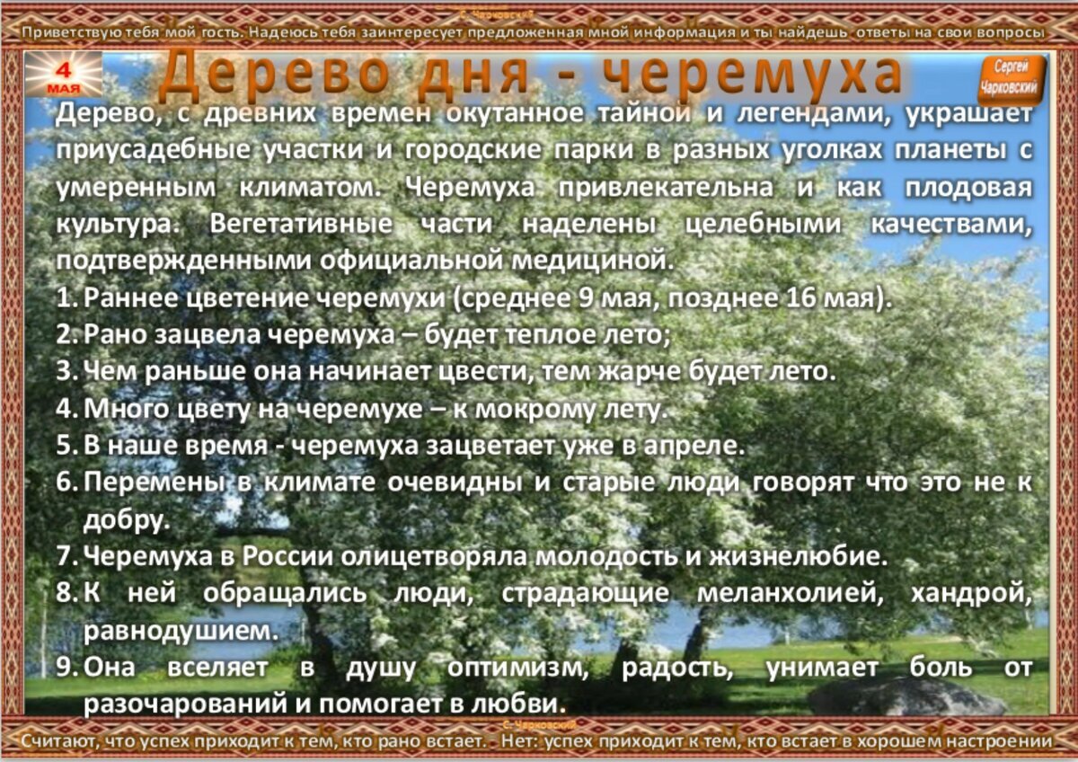 Приметы связанные с деревьями