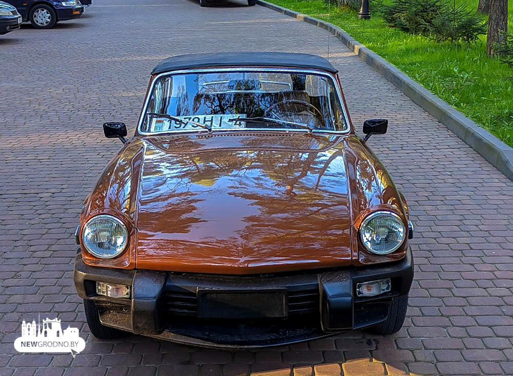 Триумф в Гродно. В нашем городе заметили еще один редкий и необычный ...