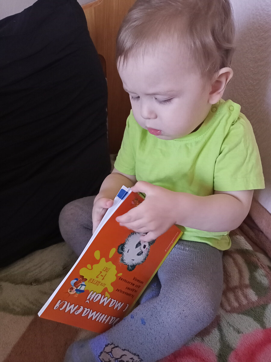 Фотография сделана автором канала