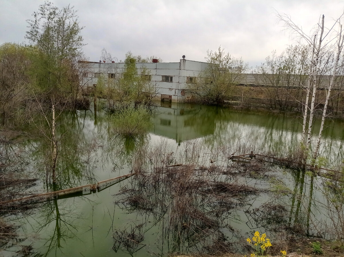 Фото с недавней велопрогулки