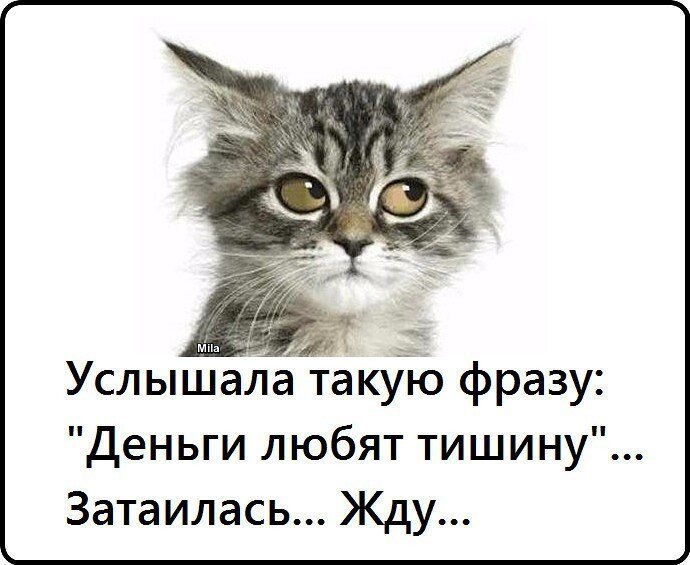 источник Яндекс-картинки