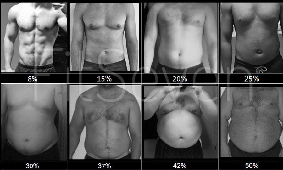 Процент жира в организме картинка