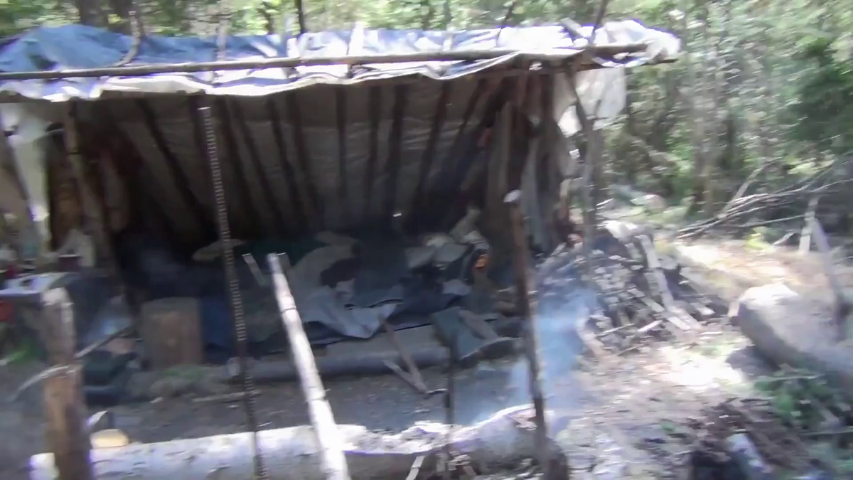 Шалаш в тайге - (смотрите на видео внизу статьи)