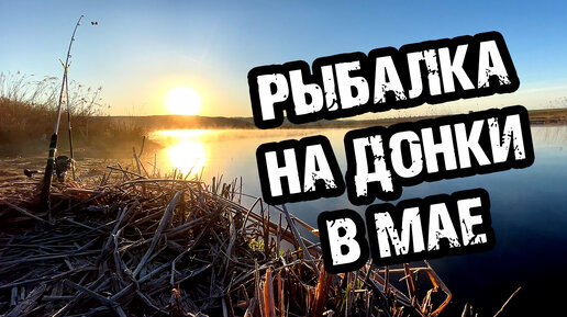 РЫБАЛКА НА ДОНКИ С НОЧЕВКОЙ / РЫБАЛКА ВЕСНОЙ В МАЕ