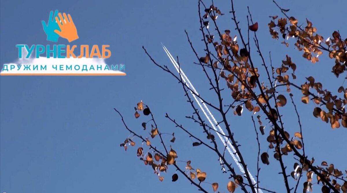коллаж автора