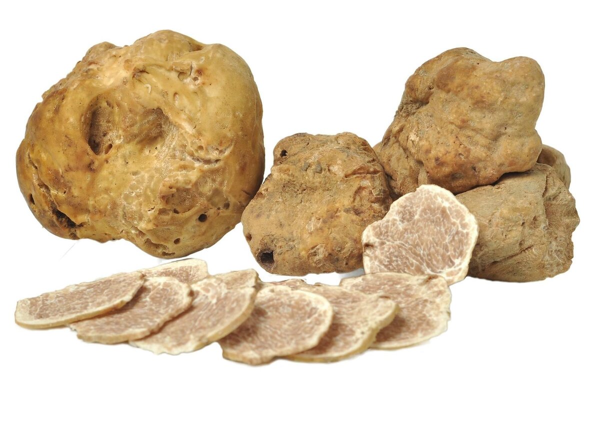 Белый Тосканский трюфель