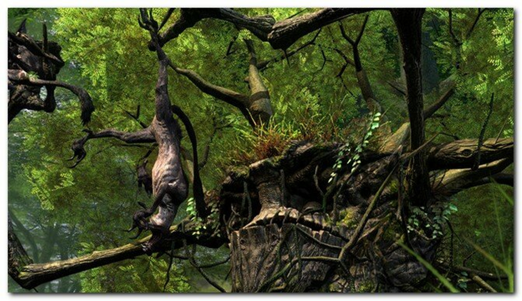 Дерево людоед. Мадагаскарское дерево людоед. Плотоядное дерево. Мифология дерево людоед.