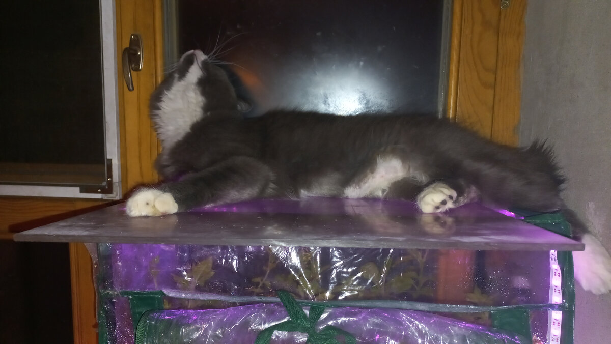 Ну, когда уже