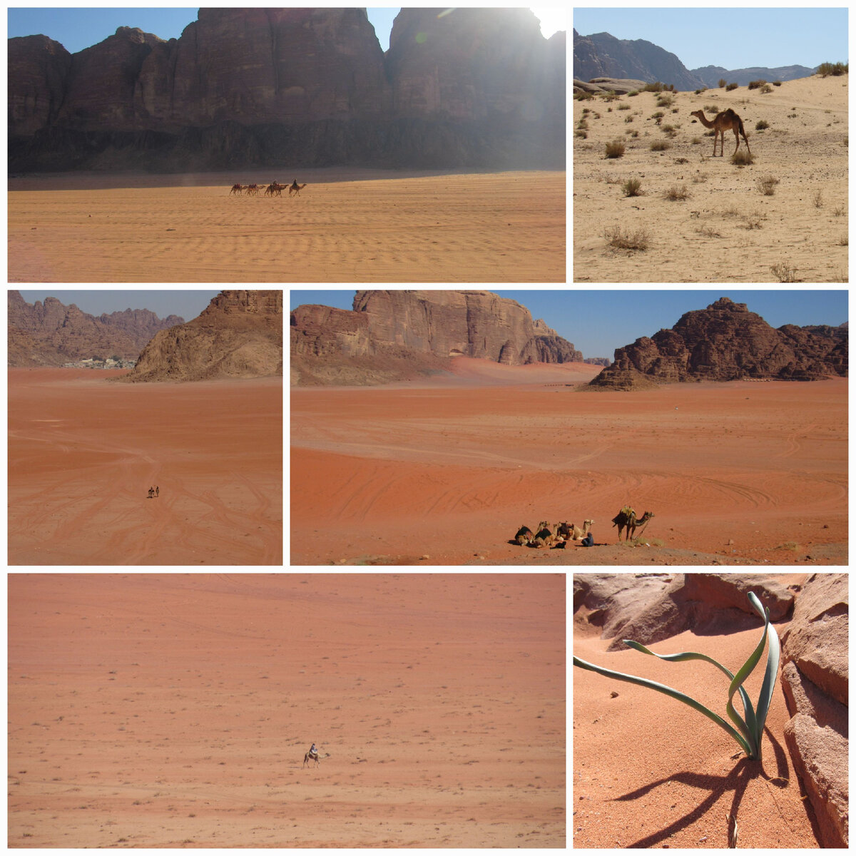 В пустыне Вади Рам песок от белого до нескольких оттенков красного