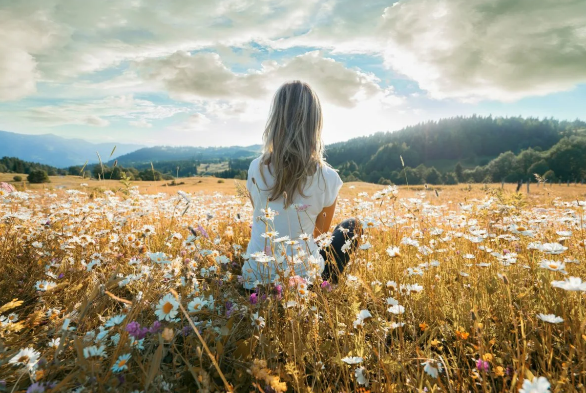 Красоту сидели люди. Девушка в поле. Девушка в цветочном поле. Девушка в поле со спины. Красивая женщина в поле.