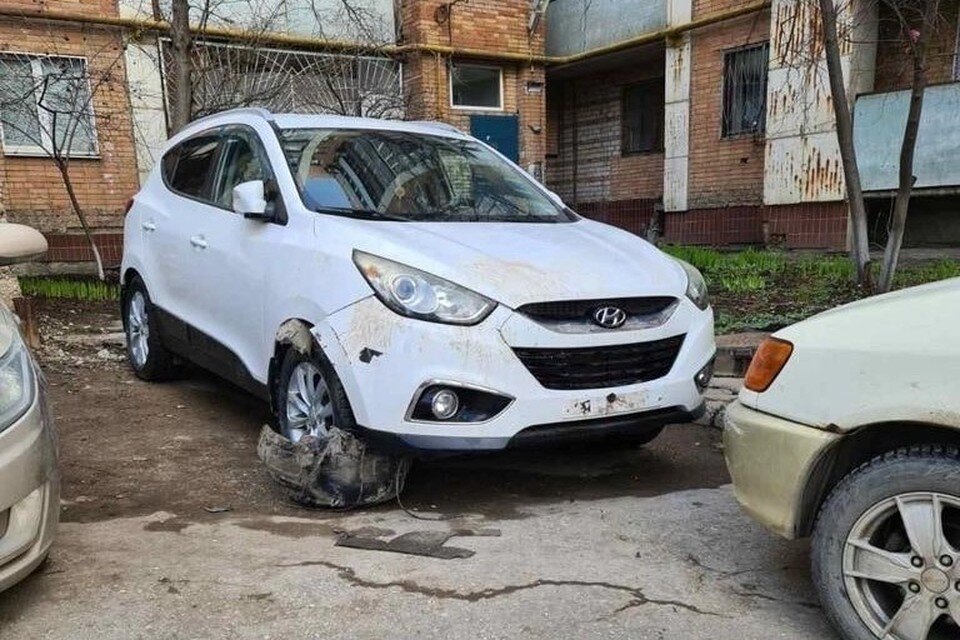    Бездомные собаки серьезно повредили автомобиль. Фото: предоставлено "Комсомолке"