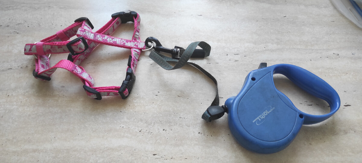 Личный архив