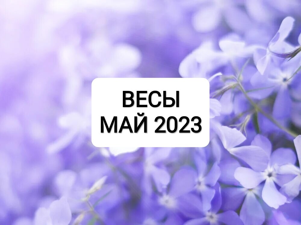 Гороскоп весов на май 2024 года. Весы май.