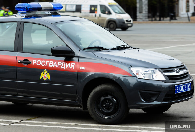    Росгвардейцы задержали подозреваемого и передали полиции