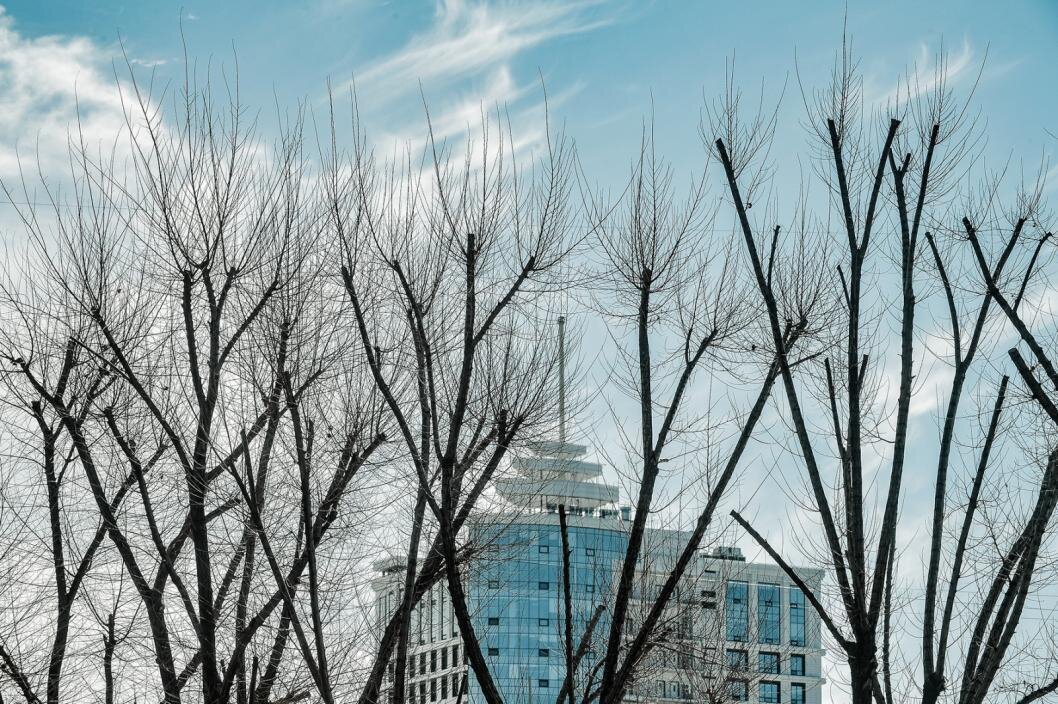 Фото: Сергей Елесин, ИА "Тюменская линия"